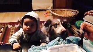 Funny video 464