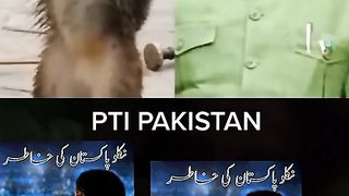 Funny videos in Pakistani siysatdno ki