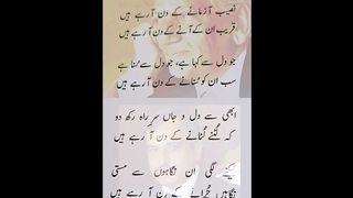 فیض احمد فیض : نصیب آزمانے کے دن آ رہے ہیں