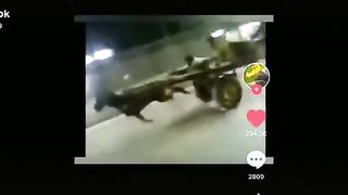 Please say again.Which is better and faster Donkey or Horse