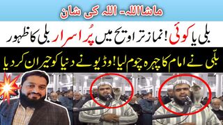 سبحان اللہ | today viral Islamic shorts/Makkah and cat viral video/shorts/imam's and cat viral video