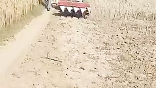 Agriculture 2