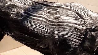 Cute dog taking a bath must watch ????