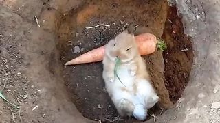 Happy Easter