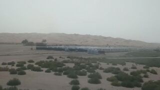 Liwa abu dhabi