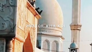 The beauty of Islam