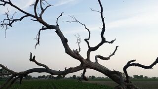 Jinnat ka Dera #jin #jinnat #bhoot