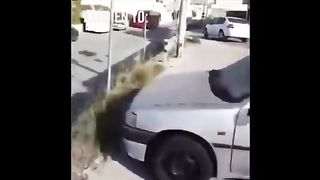 Best Fails Of The Year 2022 2