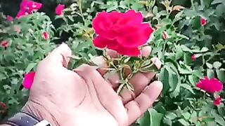 گاوں کی زندگی???????? 2