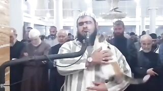 Catt playing with imam sb