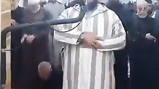 Cat. Loves. Qurani. Tilawat