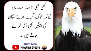 Bewaqoof ki 6 nishaniya