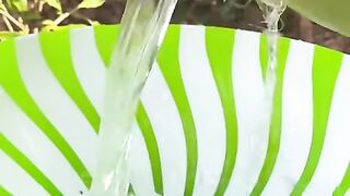 Coconut magic