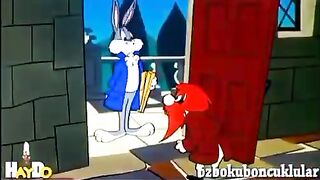 The rabbit and the big property