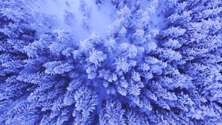 Snowfall Beauty Of Nature _ Drone Aerial View