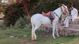 Travel Islamabad