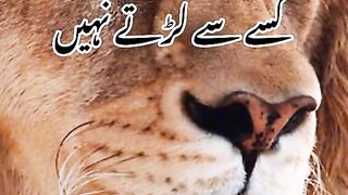 shere o shiyari,  urdu sharri