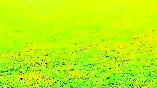 Islamia college peshawar | viral shorts