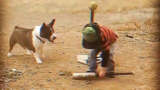 the owner of this dog