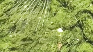 Аmazing sea world, fishing in a new way