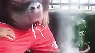Wearing man