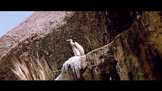 India movie clip on hogya hai