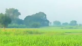 گاوں کی څوبصورتی???????? 2