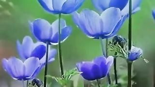 دعاء 2