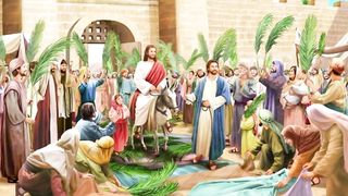 Palm: Palm Sunday special