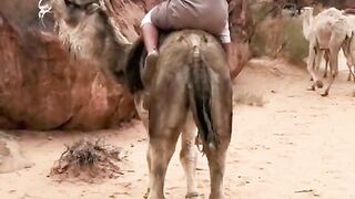 viral video 4