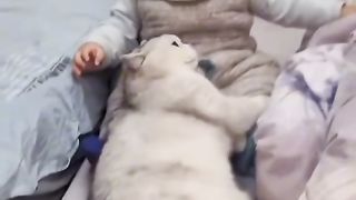Funny Video 37