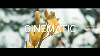 Cinematic vines???????????? feel it ????????????????????