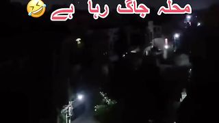 Funny video 341