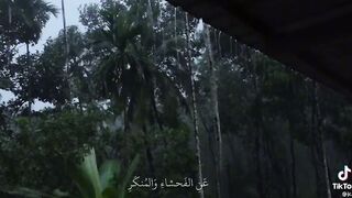 Islamic video's 2
