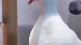 Best funny video ???????????????? 2