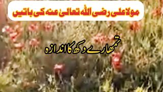 مولا علی رضی اللہ تعالیٰ عنہ کی باتیں