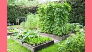12 Deep Images about kitchan gardening motvational