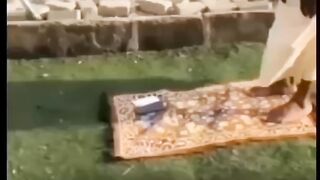 Funny video 7