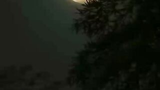 Night ???? video moon