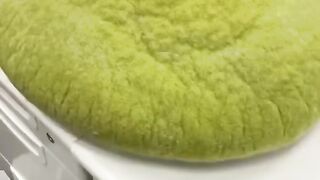 Animal Funny video