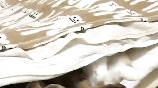 Забавные животные))))