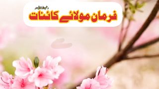 فرمان مولائے کائنات رضی اللہ تعالیٰ عنہ