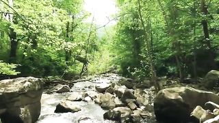 Nature video 4