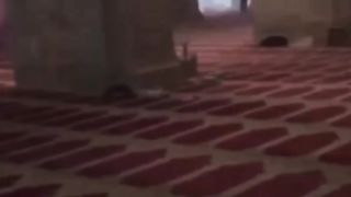 Masjid Al Aqsa 2
