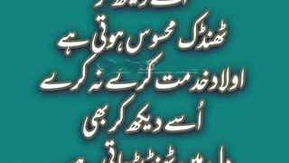 Most beautiful aqwal e zareen urdu hindi best Quotes #quote 4