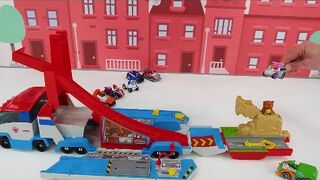 Toy Learning Video for Kids - Paw