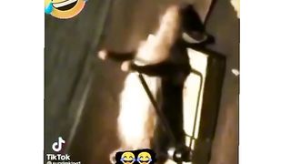Finny video