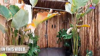 Luxury Bubble Resort in Munnar ♥️????
