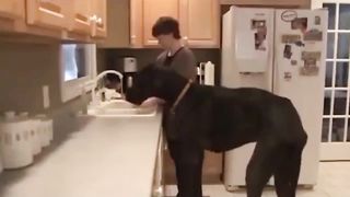 25 Largest Animals Ever Caught On Camera