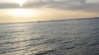 Ocean 3